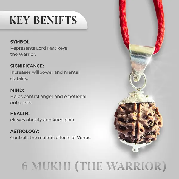 Six_Mukhi_Rudraksha_Bead