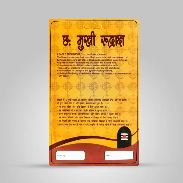 Six_Mukhi_Rudraksha_Bead