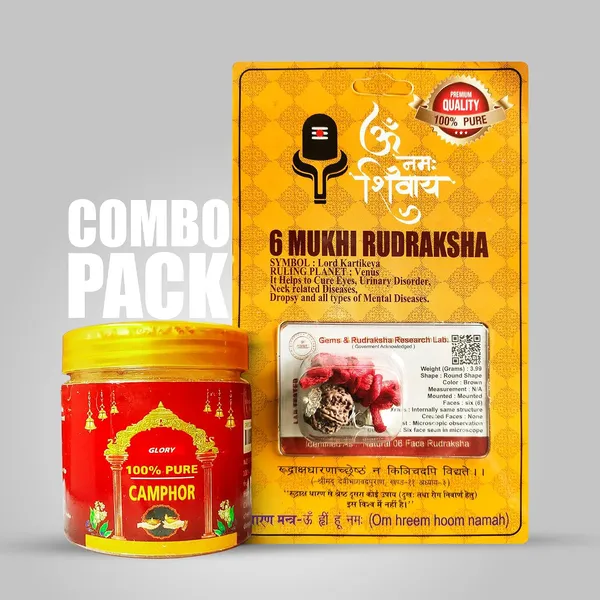 Six_Mukhi_Rudraksha_Bead
