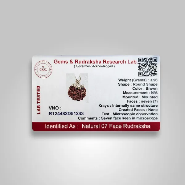 Rudraksha_Bead