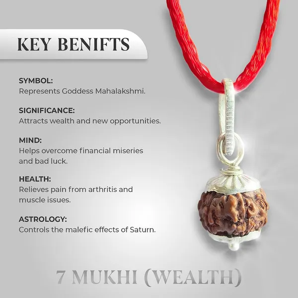 Rudraksha_Bead