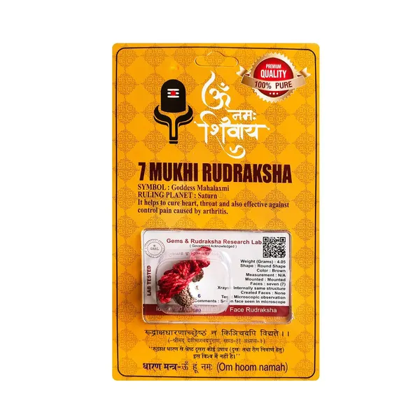 Rudraksha_Bead