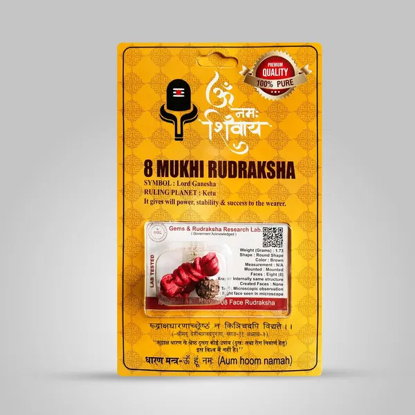 8_Mukhi_Rudraksha_Bead
