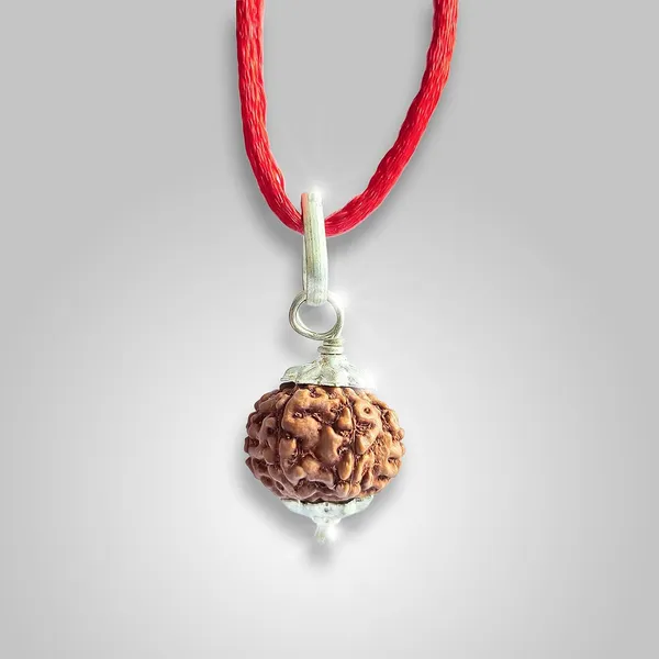 8_Mukhi_Rudraksha_Bead