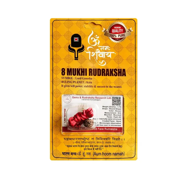 8_Mukhi_Rudraksha_Bead