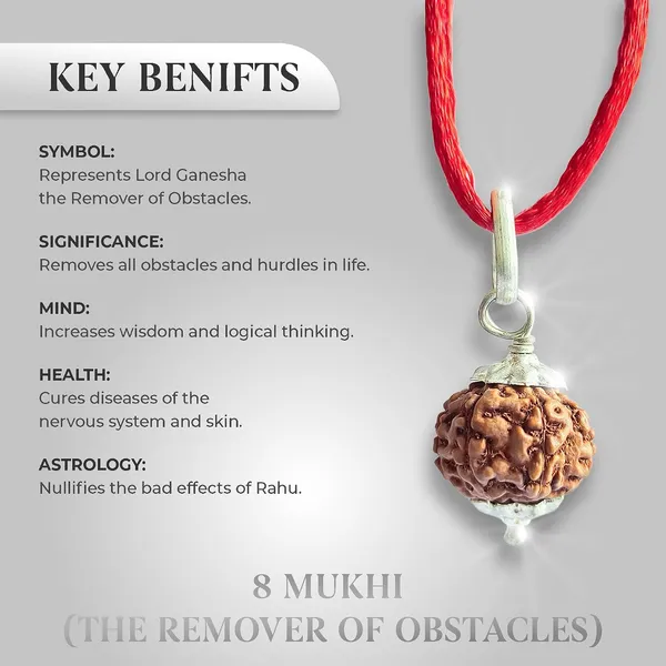 8_Mukhi_Rudraksha_Bead