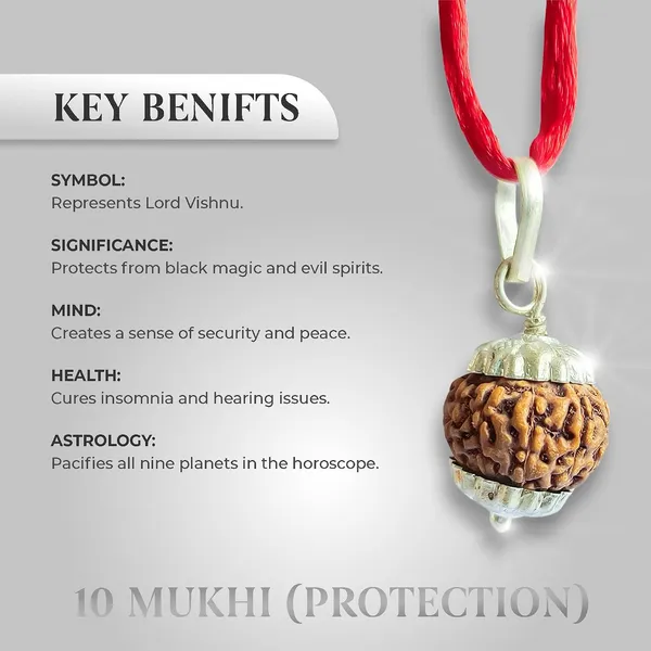 Ten_Mukhi_Rudraksha_Bead