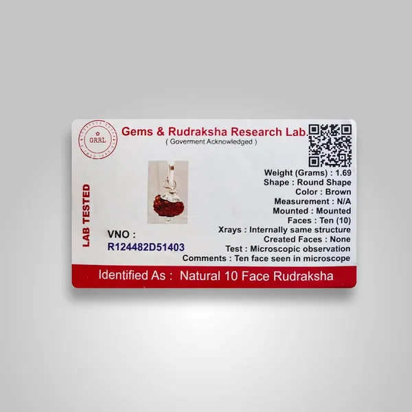 Ten_Mukhi_Rudraksha_Bead