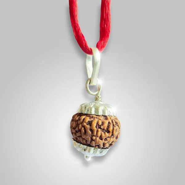 Ten_Mukhi_Rudraksha_Bead