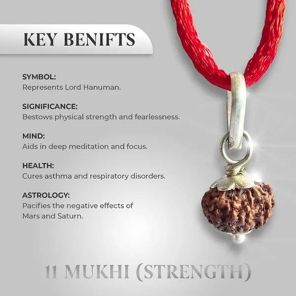 Rudraksha_Bead