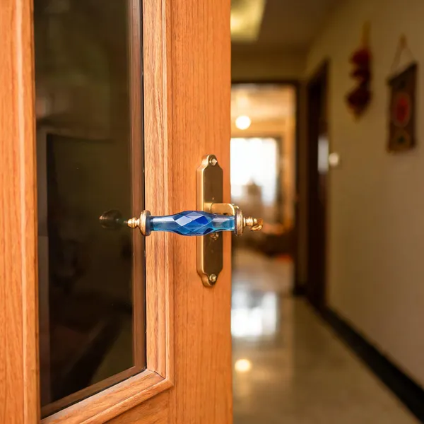 Glass_Door_Handle_With_Brass_Puller