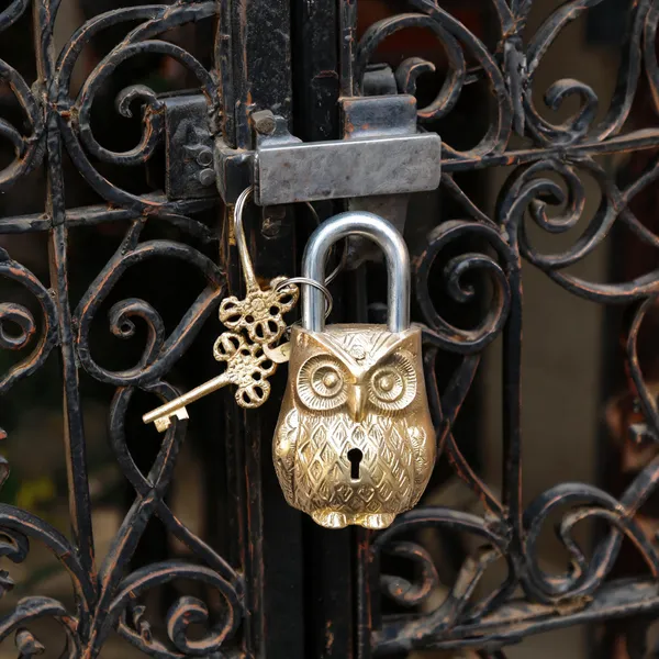 Brass_Owl_Padlock_With_Keys_Gold