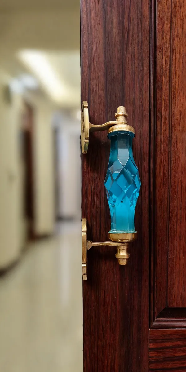 Glass_Door_Handle_With_Brass_Mounting