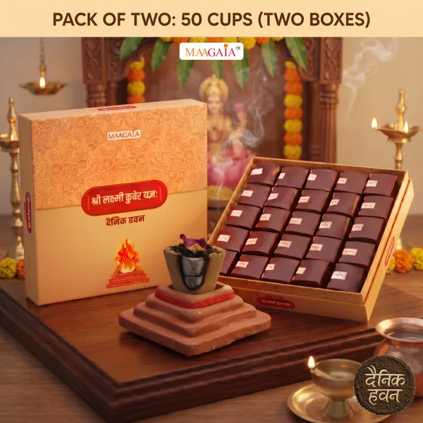 Dainik_Havan_50_Pcs_With_Earthkund_Stand_