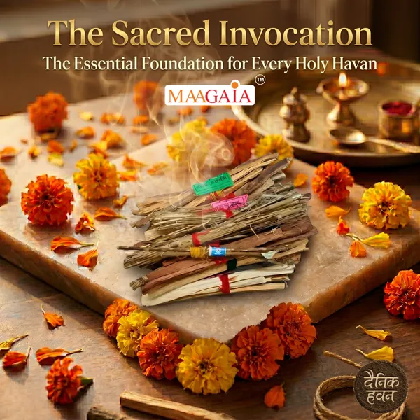 Vastu_Dosha_Correction_Kit