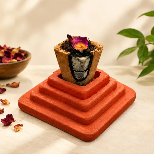 Mitti_Havan_Kund_15_Pcs_Pack_Of_1