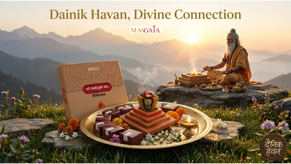 Dainik_Havan_40_Pcs_With_Earthkund_Stand
