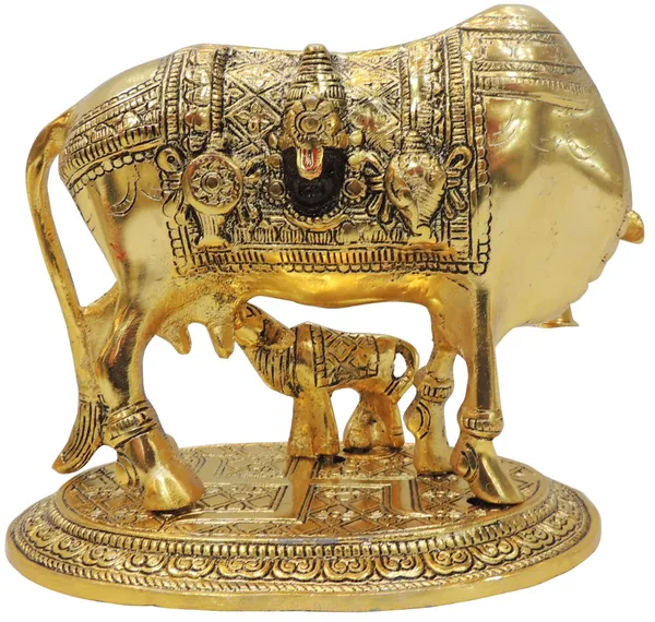 Aluminium_Showpiece_Cow_-_8x4.7x6_Inch_(AS477_G)
