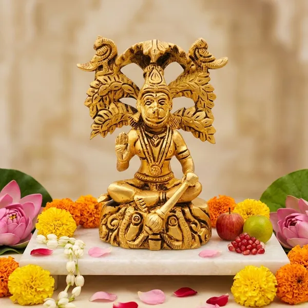 Brass_Showpiece_Hanuman_Ji_God_Idol_Statue_-_5x2.5x5_Inch_(BS1648_D)
