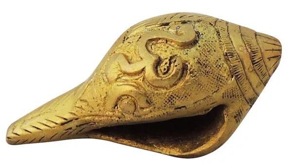 Brass_Showpiece_Shank,_Conch_-_2.5x1.2x1.2_Inch_(BS848_A)