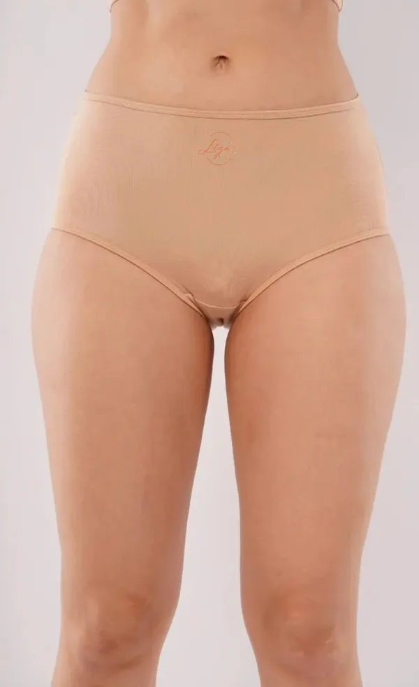 Liza_Femme_Micro_Modal_briefs_-_Skin