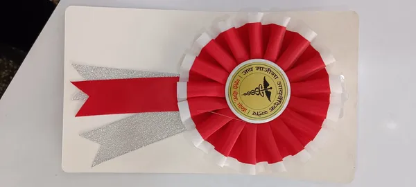 Red_Silver_Fabric_Plastic_Prize_Rosette_Ribbon_Pack_Of_10