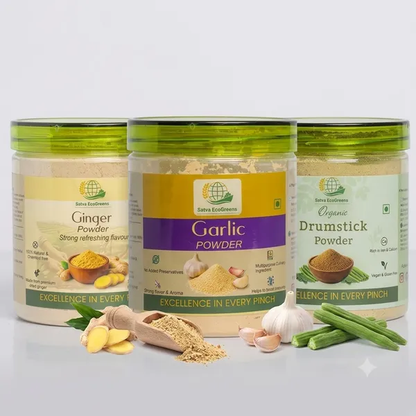 Taste_Booster_Combo_Ginger_Powder,_Garlic_Powder_And_Drumstick_Powder_Pack_Of_3