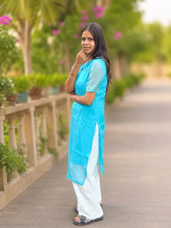Bibhatsu_Women's_Sky_Blue_Organza_Straight_Kurti_Sheer_Sleeves_Elegant_Ethnic_Wear