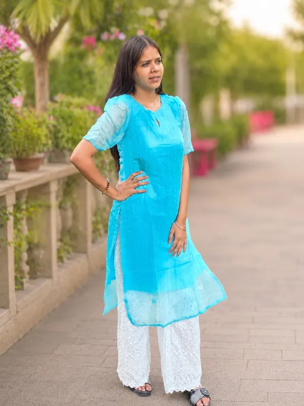 Bibhatsu_Women's_Sky_Blue_Organza_Straight_Kurti_Sheer_Sleeves_Elegant_Ethnic_Wear