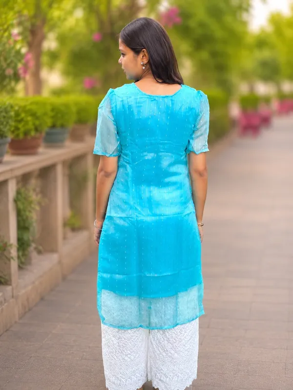 Bibhatsu_Women's_Sky_Blue_Organza_Straight_Kurti_Sheer_Sleeves_Elegant_Ethnic_Wear