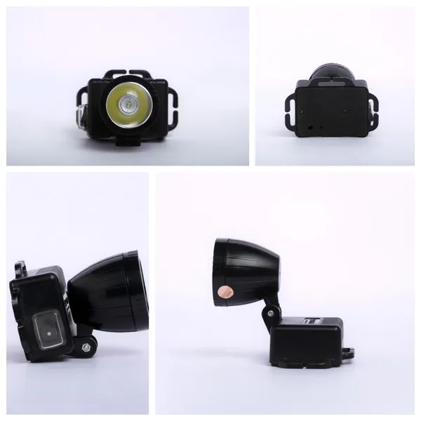 Chintu_Plus_torch