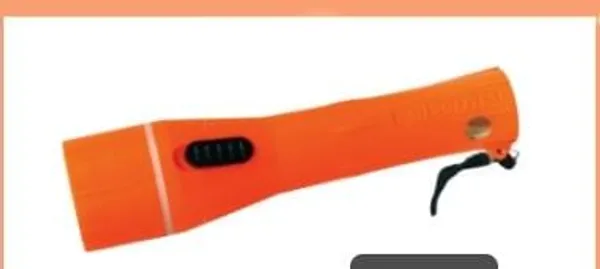Bunny_torch