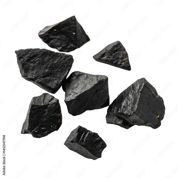 10_Grams_Shilajit_Solid