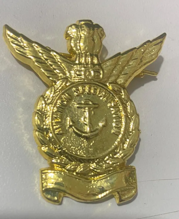 Naval_Aviation_Badge_Golden_Finish