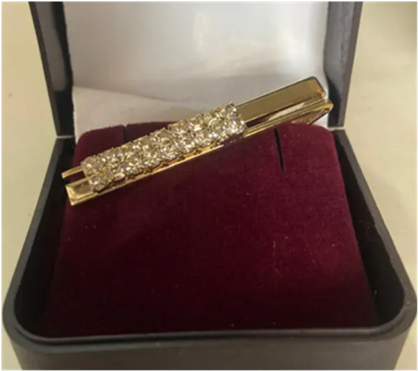Gold_Finished_With_Stone_Tie_Pin
