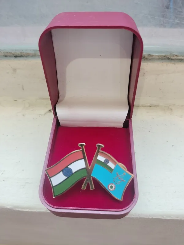 Beautiful_Brass_Lapel_Pin_Pair_Airforce_Iaf