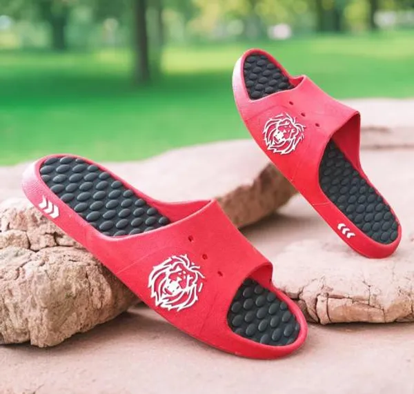 Red_Lion_Print_Slide_Sandals_For_Men
