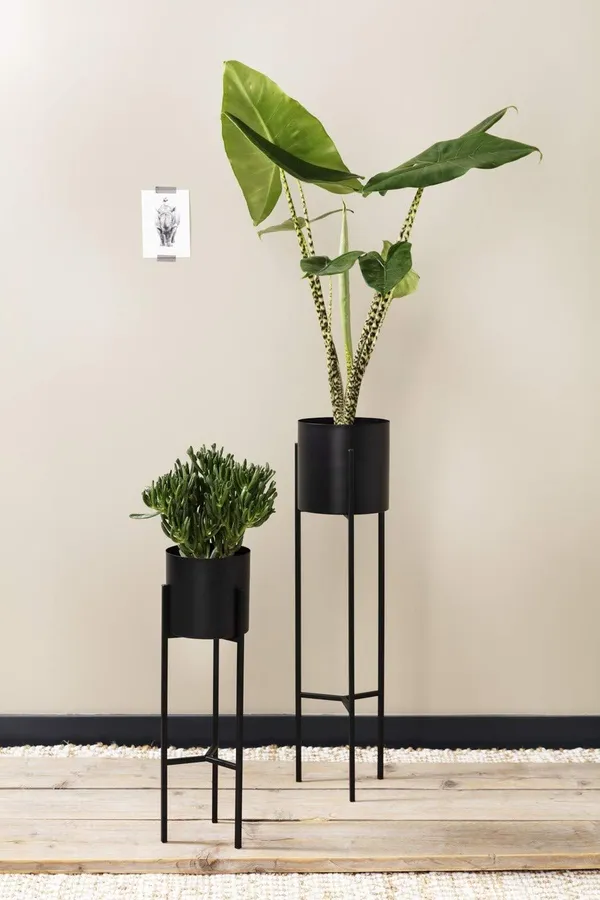 Metal_Plant_Stand_Set_Of_2