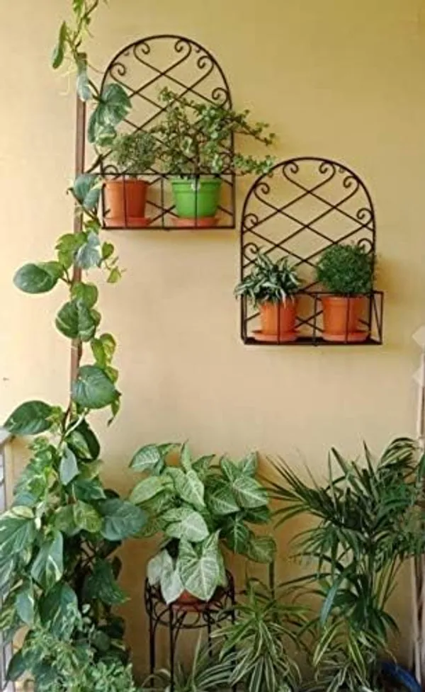 Wrought_Iron_Wall_Bracket_For_Plant_Pots_Set_Of_2
