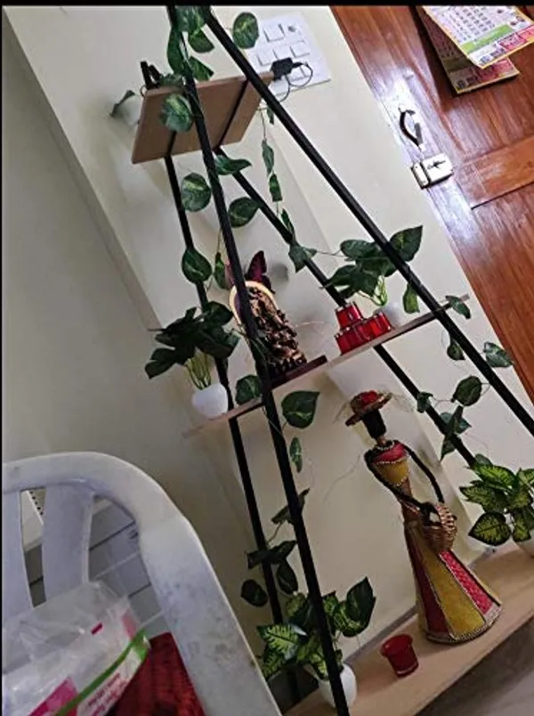 Ladder_Bookcase