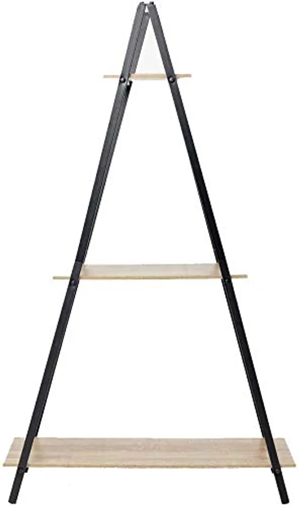 Ladder_Bookcase