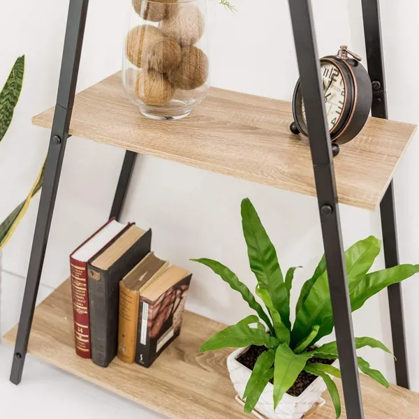 Ladder_Bookcase