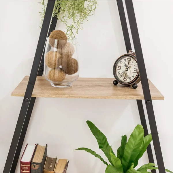 Ladder_Bookcase