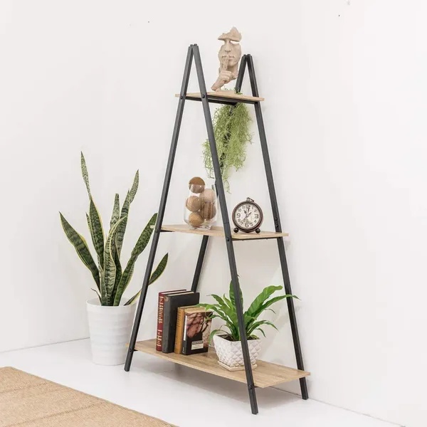 Ladder_Bookcase