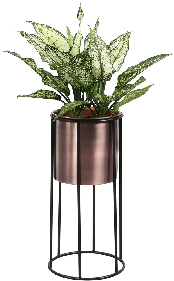 Metal_Wire_Plant_Stand