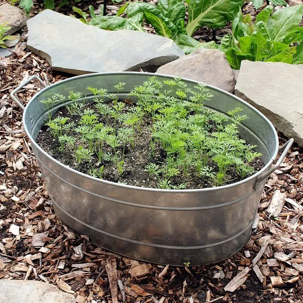 Oval_Wine_Bottle_Cooler_Bucket