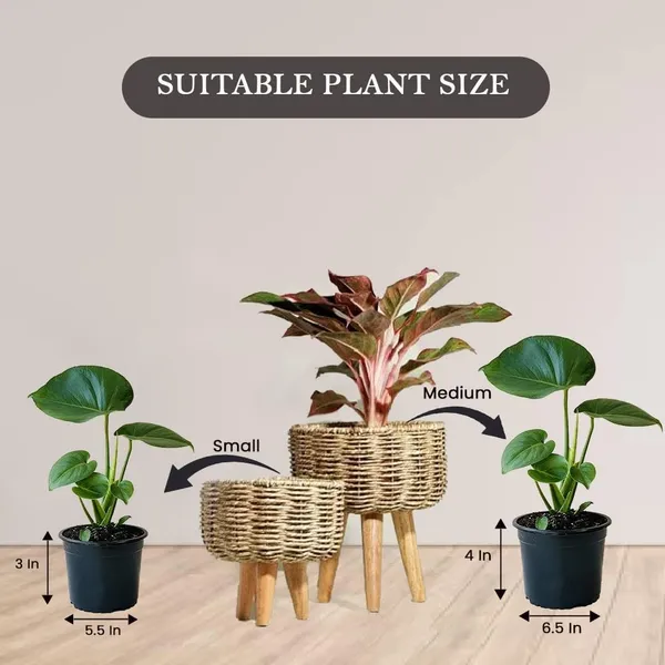 Metal_Plant_Stand_With_Planter_Pot