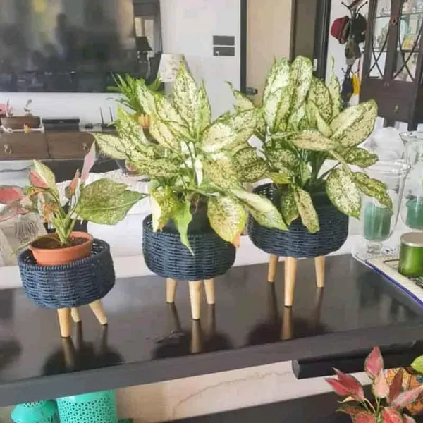 Metal_Plant_Stand_With_Planter_Pot