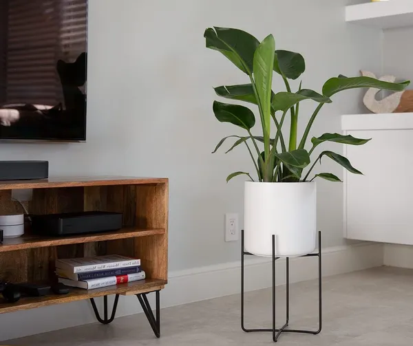Metal_Plant_Stand