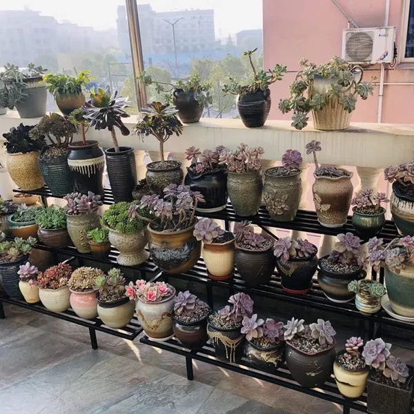 Metal_Plant_Stand_Br_3_Tier